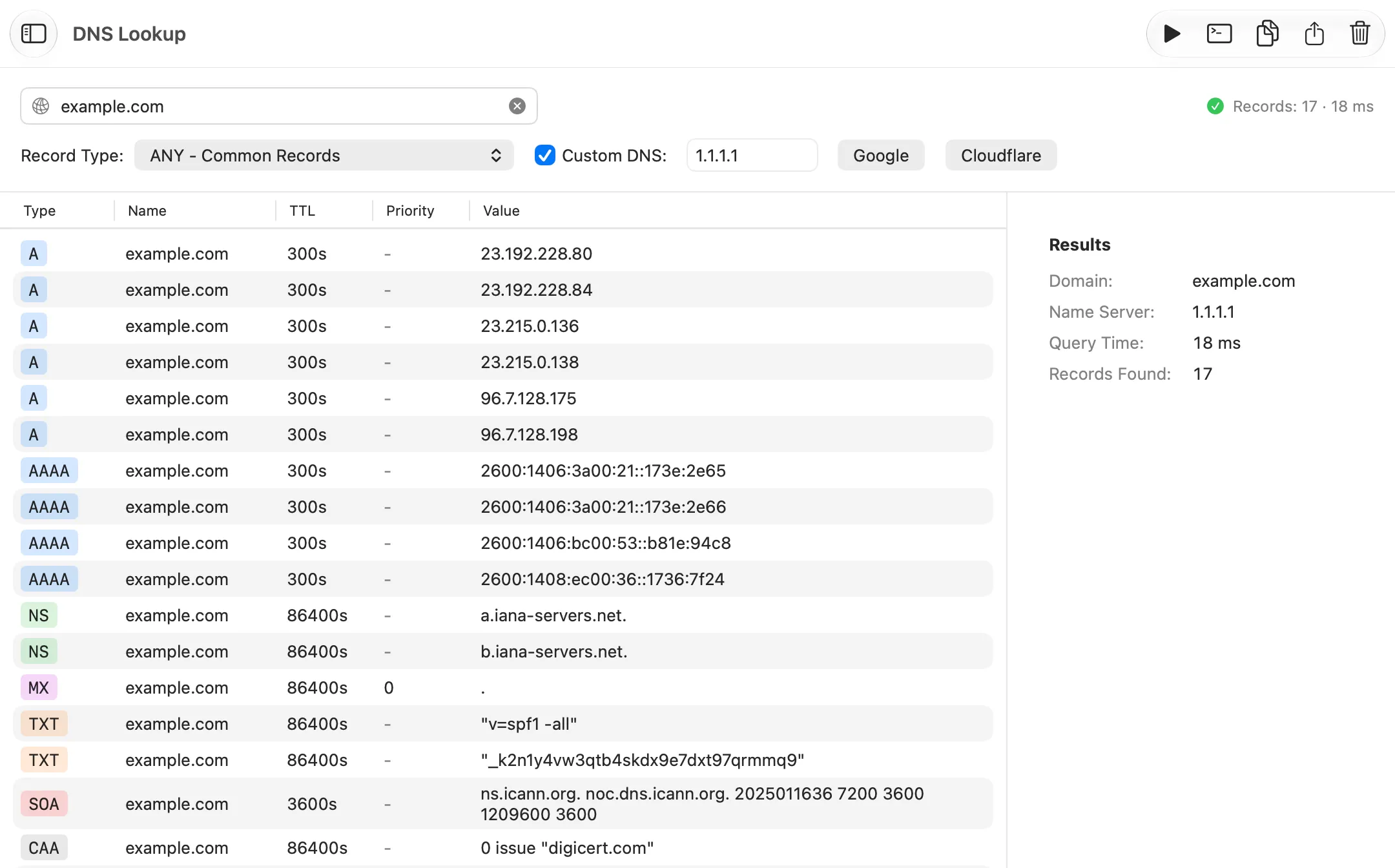 Netutilus DNS Lookup listing 17 records for example.com from the 1.1.1.1 resolver